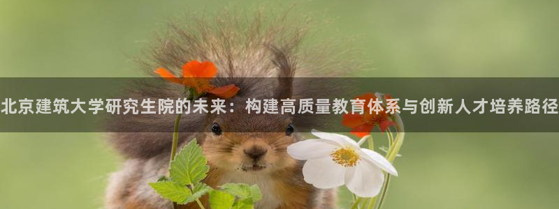 乐发快三彩票平台官网