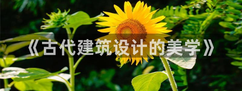乐发国际是不是黑平台