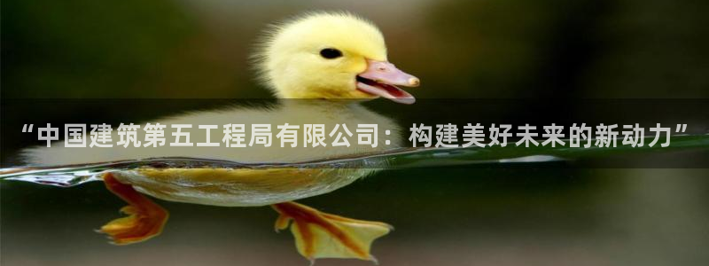 乐发平台下载安装