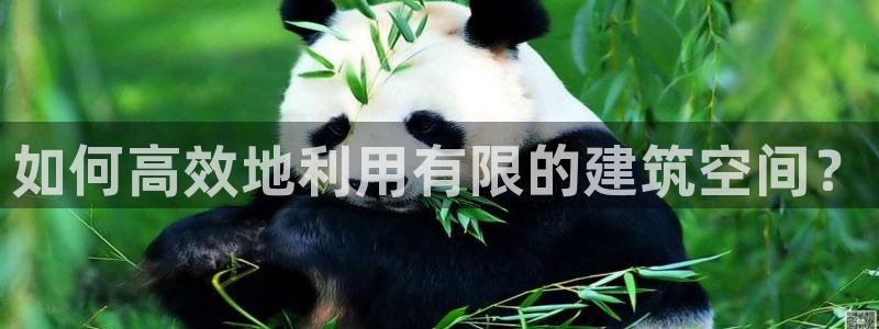 乐发快三平台