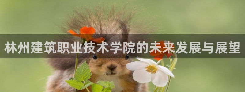 乐发平台杀猪盘
