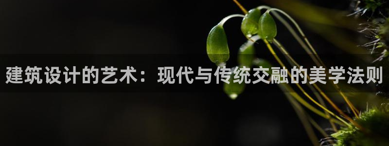 乐发1平台下载安装：建筑设计的艺术：现代与传统交融的美学法则