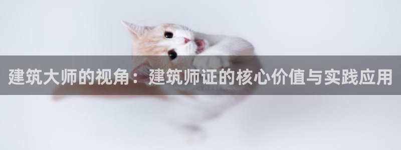 乐发Iv彩票官方平台：建筑大师的视角：建筑师证的核心价值与实践应用