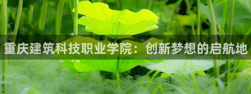 乐发平台网址是什么