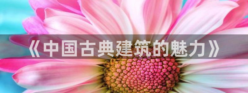乐发彩票vll平台