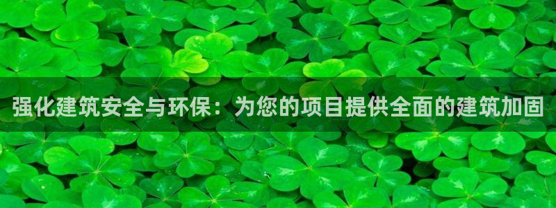 乐发传媒是不是正轨平台