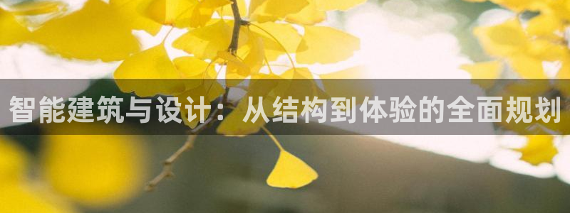 乐发体育平台怎么样