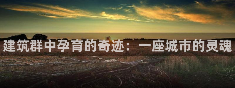 乐发彩票是黑平台吗：建筑群中孕育的奇迹：一座城市的灵魂