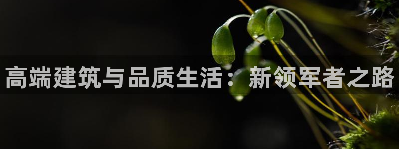 乐发彩票登录平台官网