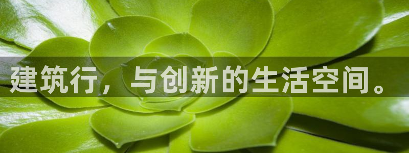 乐发彩票vll平台：建筑行，与创新的生活空间。