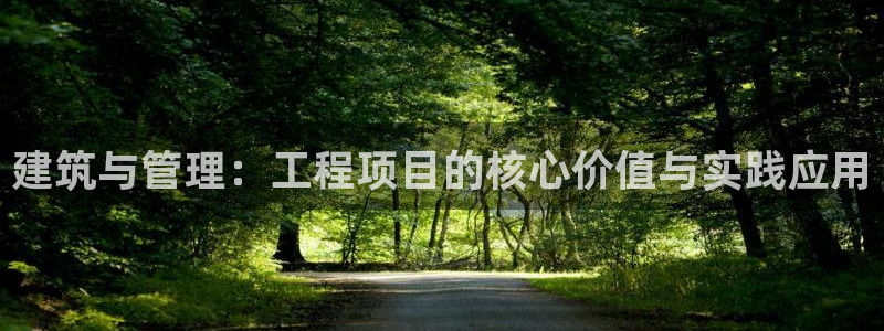 乐发彩票vll平台：建筑与管理：工程项目的核心价值与实践应用