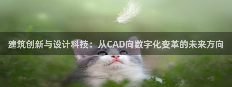 乐发平台注册下载安装