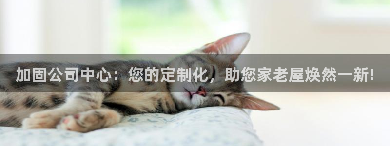 乐发彩票登录平台手机版