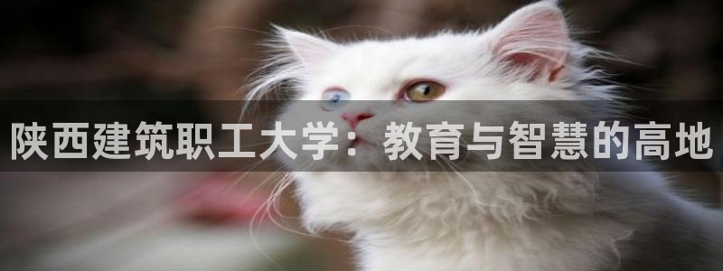 乐发快三彩票平台下载