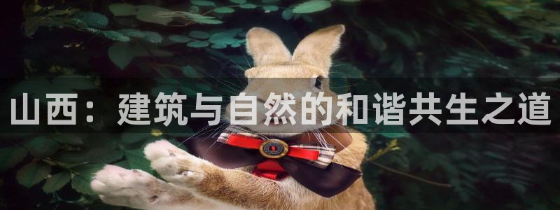 乐享发圈是个什么平台