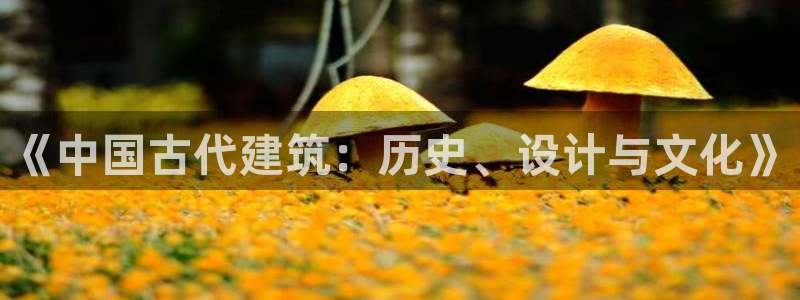 乐发体育平台怎么注册的