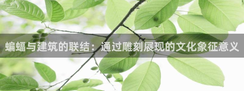乐发彩票官网登录平台