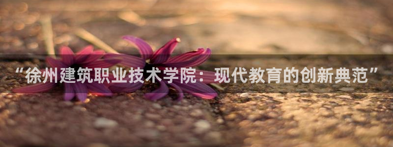 乐发大小单双平台