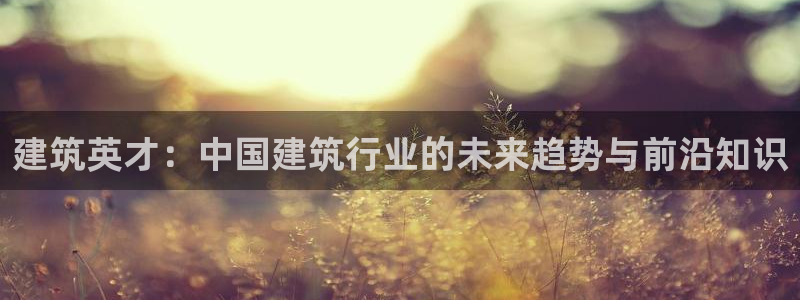 乐发彩票网平台带人玩的