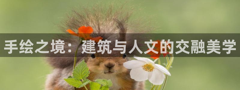 乐豪发娱乐平台