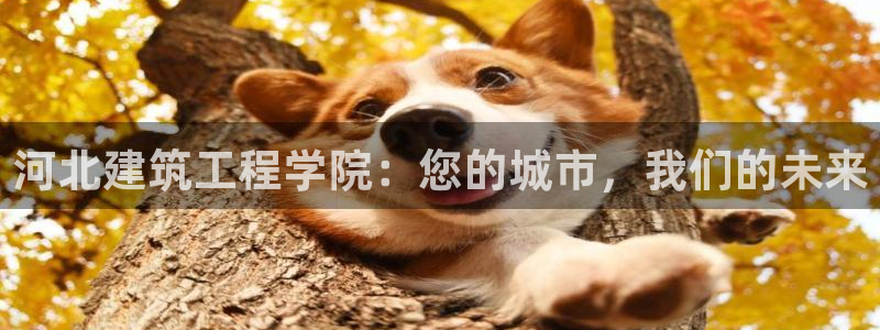 乐赚平台发圈app