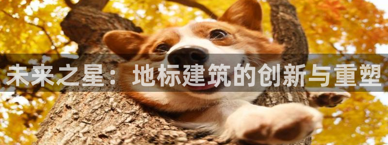 乐发彩票平台是真的吗