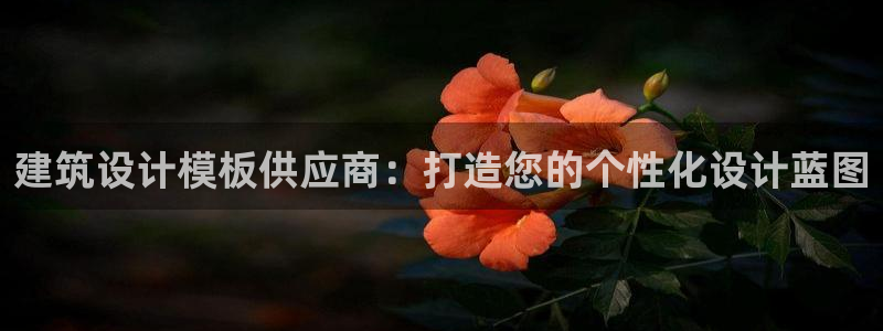 乐发旗下的平台有多少家