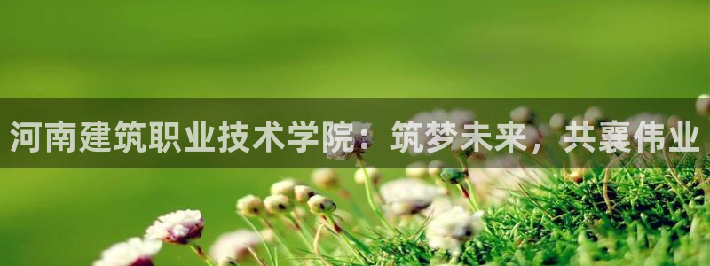 名发乐彩IV平台怎么样