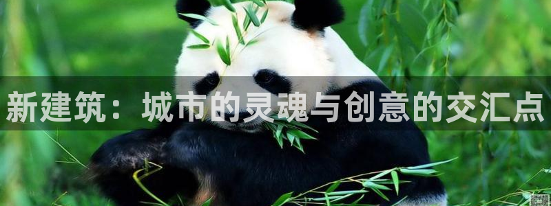 乐享发圈是个什么平台