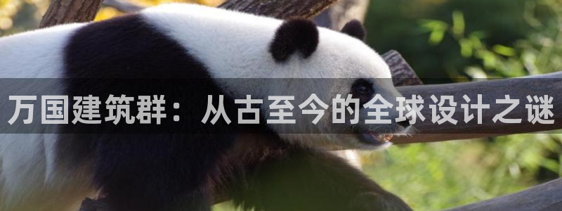 乐发彩票平台后方