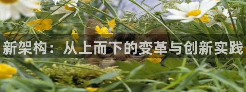 名发乐彩IV平台怎么样